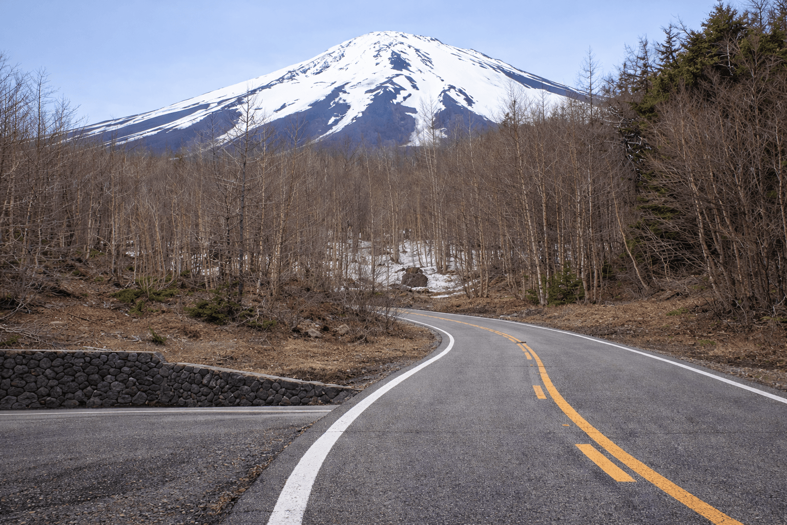 MT. FUJI